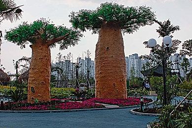 《宝可梦传说 阿尔宙斯》x ITZY30秒CM 《WANNABE A LEGEND》